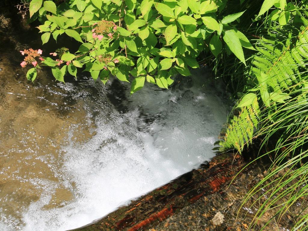 מלון קארויזאווה Kose Onsen מראה חיצוני תמונה